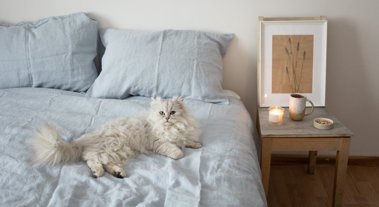 You are currently viewing 5 Best Vegan and Sustainable Pillows with Trustworthy Certifications